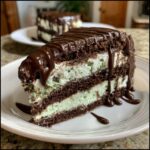 A slice of Mint Chocolate Chip Ice Cream Cake with chocolate ganache drizzled on top.