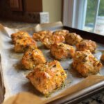 Baked Salmon Cat Bites - Tasty