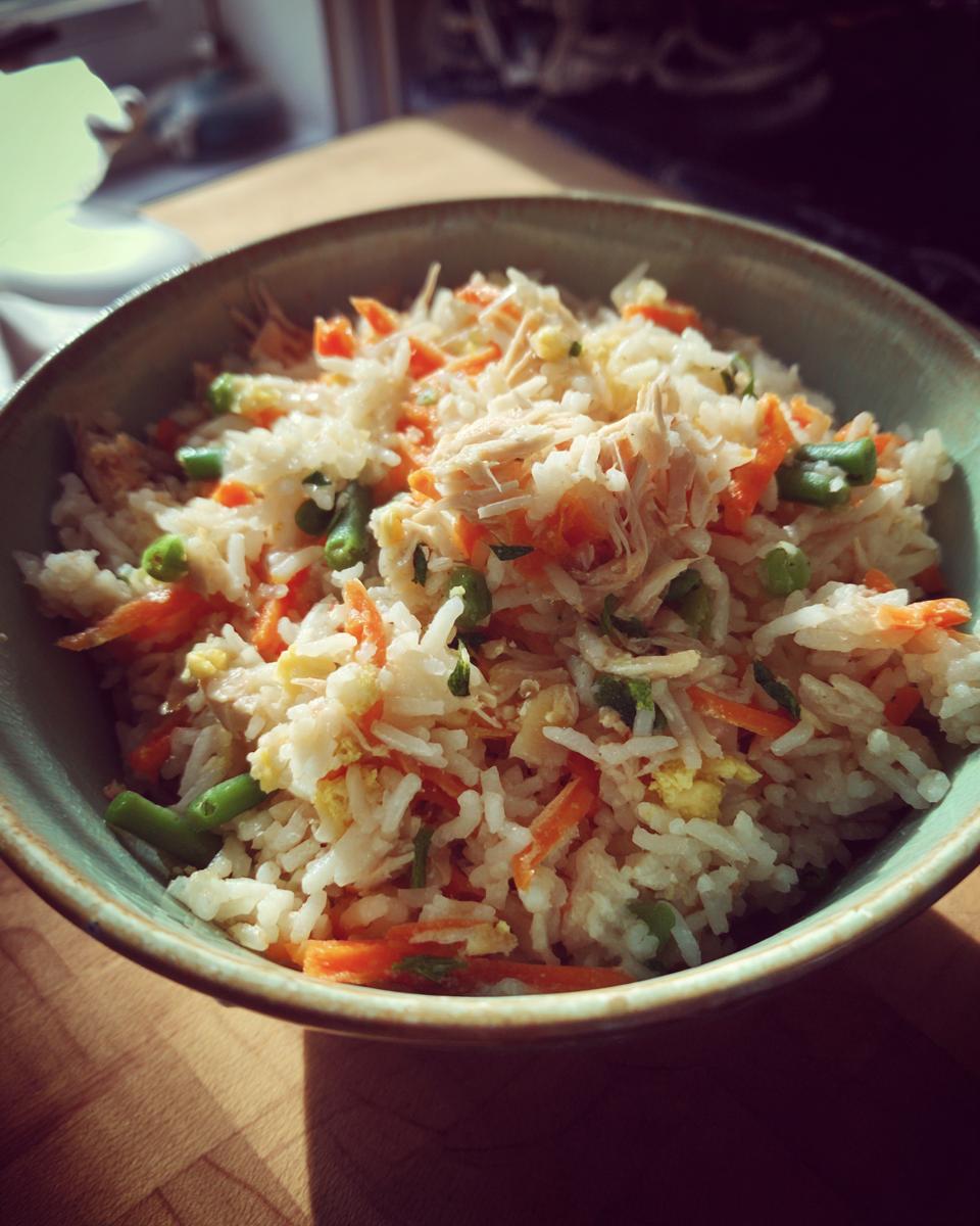 Homemade Chicken & Rice Dog Meal - Other 1