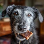 Dog with a piece of Beef & Oat Long-Lasting Dog Chews in its mouth.